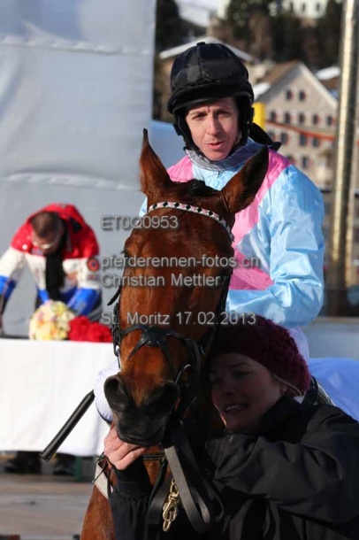 ET0Q0953 prot